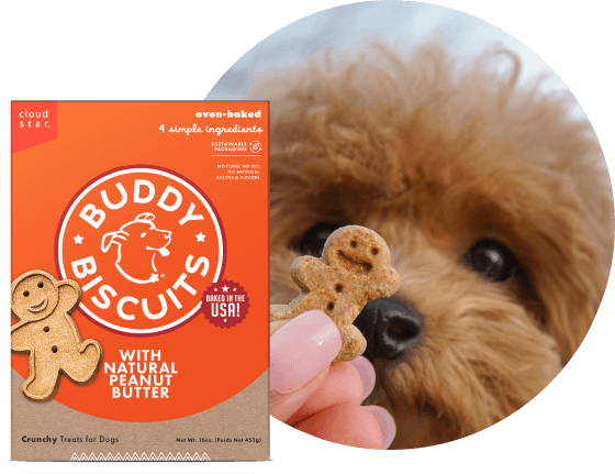 Buddy Biscuits Teeny Crunchy Dog Treats, Roasted Chicken