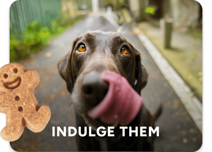 indulgent brands